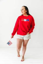 Load image into Gallery viewer, Adult USA patch Sweater